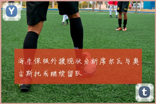 海牛保级外援现状分析席尔瓦与奥古斯托或继续留队