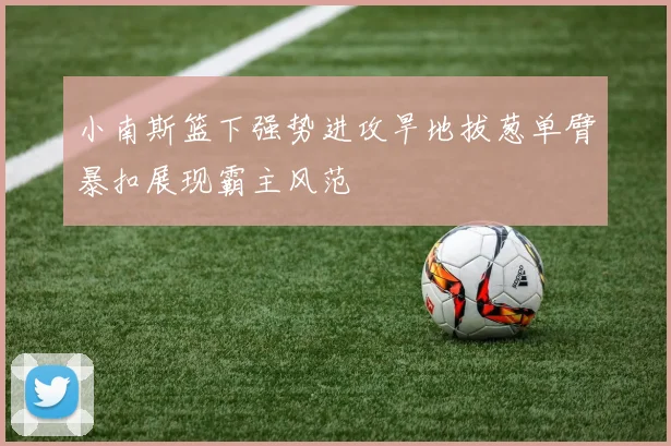 小南斯篮下强势进攻旱地拔葱单臂暴扣展现霸主风范