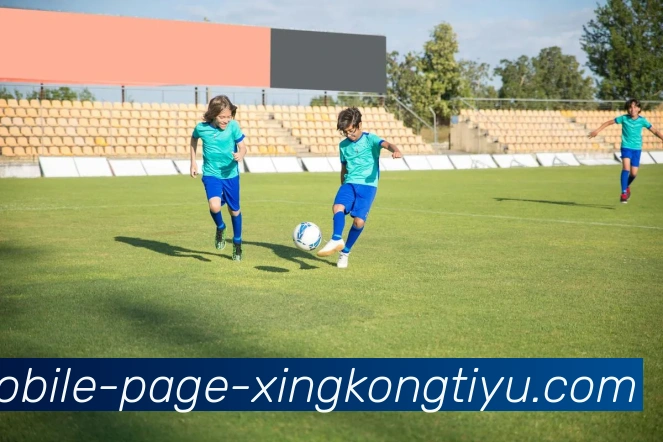 星空体育服务体系